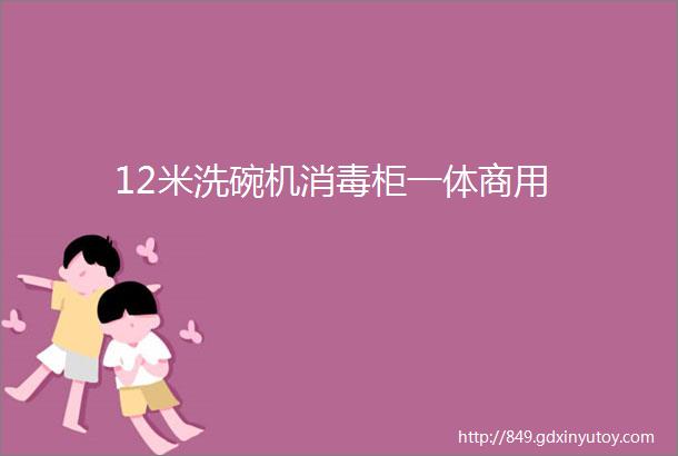 12米洗碗机消毒柜一体商用