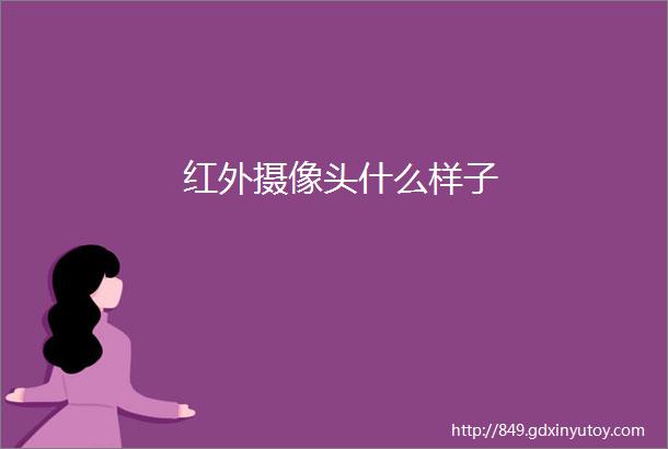 红外摄像头什么样子