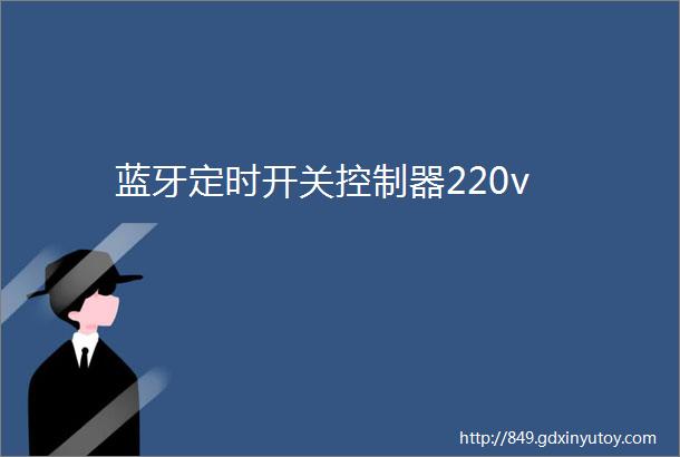 蓝牙定时开关控制器220v