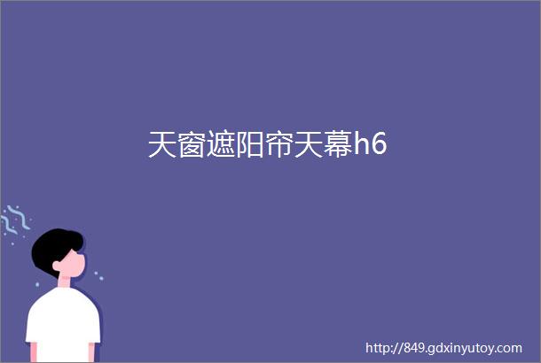 天窗遮阳帘天幕h6